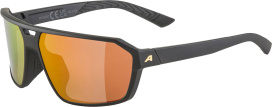 Очки ALPINA Swift Black-Gold Matt Gold Mirror